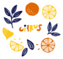 Citrus Theme Sticker