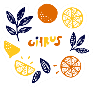 Citrus Theme Sticker