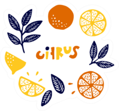 Citrus Theme Sticker