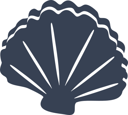 Clam Seashell Sticker