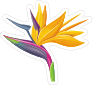 Classic Bird of Paradise Flower Sticker