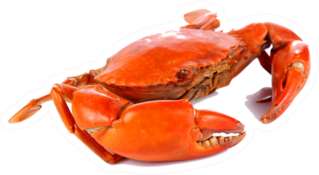 Classic Crab Sticker