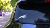 Classic Flames Design Sticker on a Rear Car Window (New) example