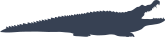 Classic Long Alligator Crocodile Sticker
