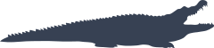 Classic Long Alligator Crocodile Sticker