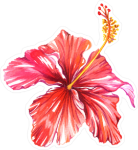Classic Orange Hibiscus Flower Sticker