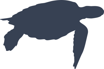 Classic Sea Turtle Shape Sticker