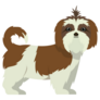 Classic Shih Tzu Sticker