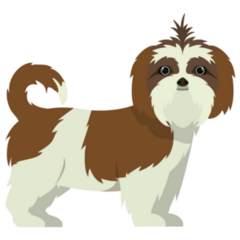 Classic Shih Tzu Sticker