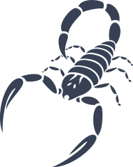 Classic Thin Scorpion Sticker