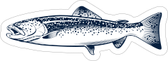 Classic Trout Sticker
