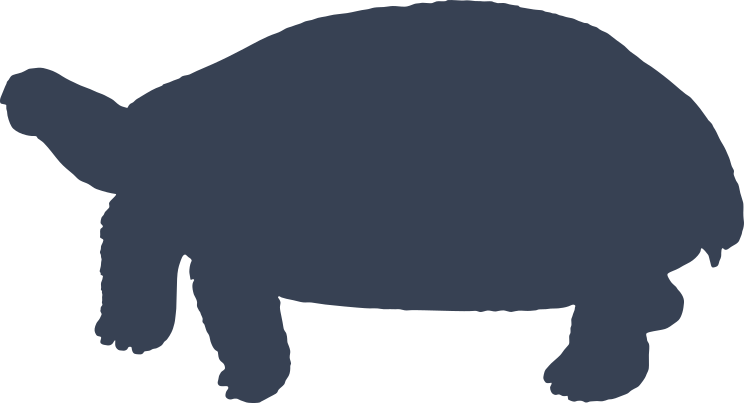 Classic Turtle Shape Sticker