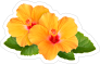 Classic Yellow Hibiscus Flowers Sticker