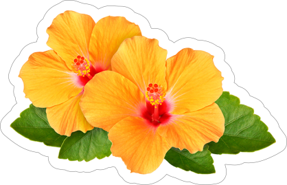 Classic Yellow Hibiscus Flowers Sticker