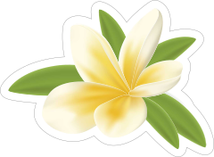 Classic Yellow Plumeria Flower Sticker