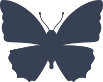 Clever Butterfly Sticker