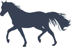 Clever Horse Sticker