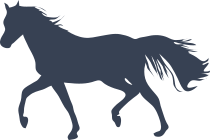 Clever Horse Sticker