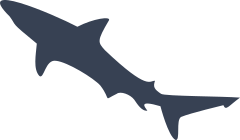 Clever Shark Sticker