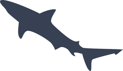 Clever Shark Sticker