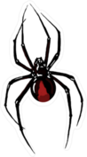 Climbing Black Widow Spider Sticker