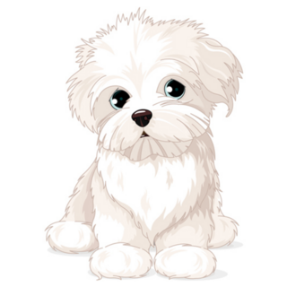 Clipart Maltese Sticker
