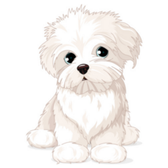 Clipart Maltese Sticker
