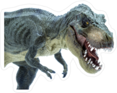 Close Up Green Dinosaur Sticker