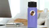 Close-up Of A Young California Sea Lion Sticker on a Water Bottle (New) example