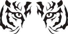Close Up Tiger Eyes Sticker