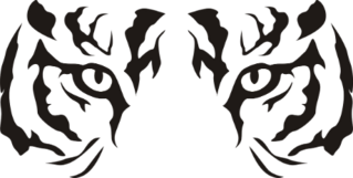 Close Up Tiger Eyes Sticker