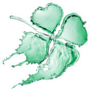Clover With Four Leaves Made Of Water Splash Sticker