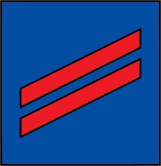 Coast Guard Rank E-2 Fireman Sticker