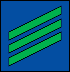 Coast Guard Rank E-3 Airman Sticker