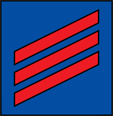 Coast Guard Rank E-3 Fireman Sticker