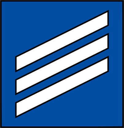 Coast Guard Rank E-3 Seaman Sticker