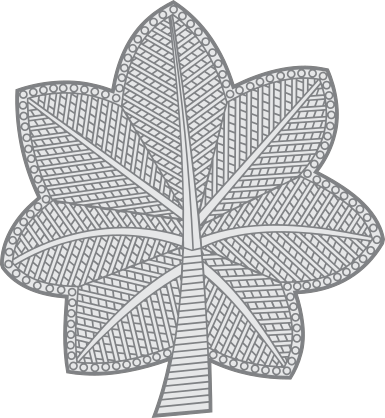 Coast Guard Rank O-5 Commander Sticker