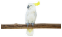 Cockatoo Bird Perched Tree Branch Sticker