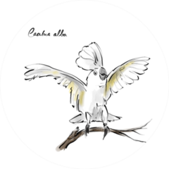Cockatoo Hand Drawn Graphic Bird Cacatua Alba Sticker