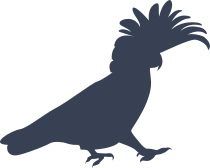 Cockatoo Walking To The Right Sticker