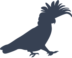 Cockatoo Walking To The Right Sticker