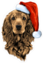 Cocker Spaniel in Santa Hat Sticker