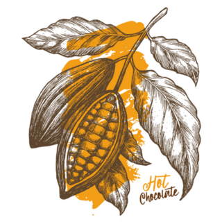 Cocoa Bean Engraved Style Illustration Sticker