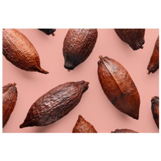 Cocoa Chocolate Pods On Pink Sticker