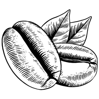 Coffee Beans Sketch Sticker