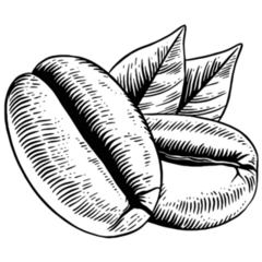 Coffee Beans Sketch Sticker