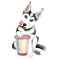 Coffee Husky Pup Sticker