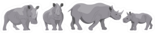Collection Of Adult White And Black African Rhinos Sticker