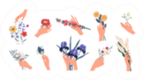 Collection Of Florist Hands Holding Bouquets Sticker