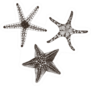 Collection Of Starfishes Hand Drawn Sticker
